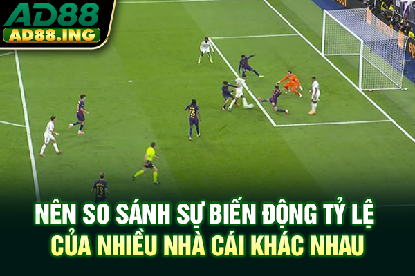 Nên so sánh sự biến động tỷ lệ của nhiều nhà cái khác nhau