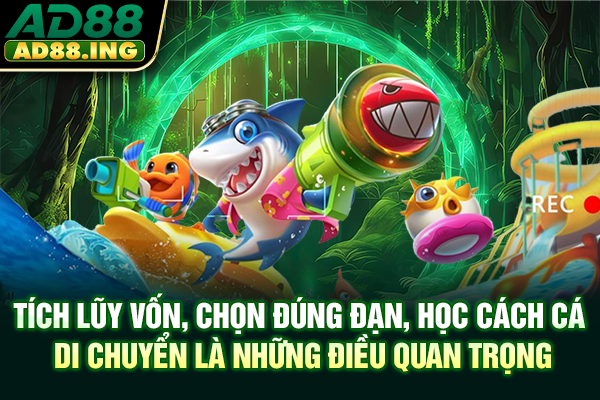 Tích lũy vốn, chọn đúng đạn, học cách cá di chuyển là những điều quan trọng